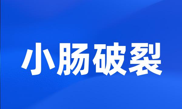 小肠破裂