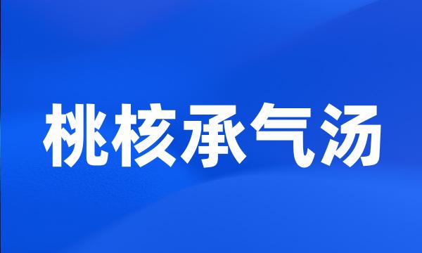 桃核承气汤