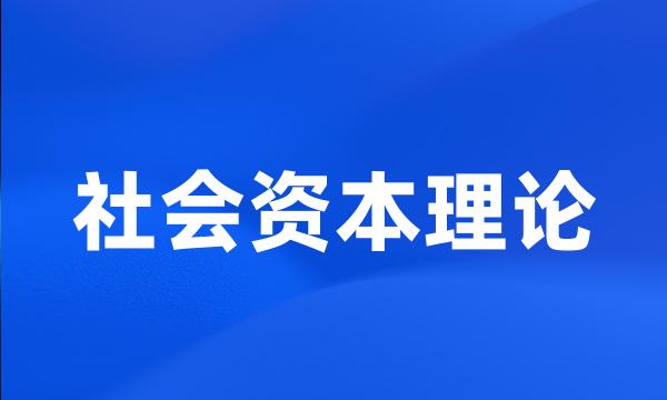 社会资本理论