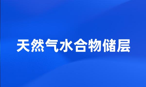 天然气水合物储层