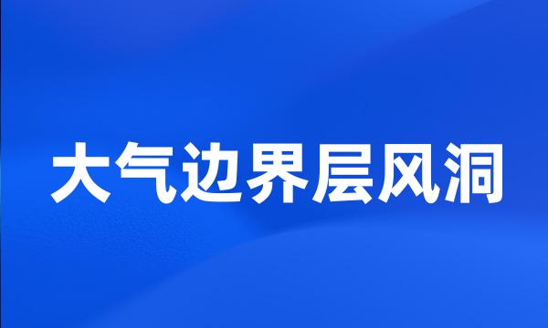 大气边界层风洞