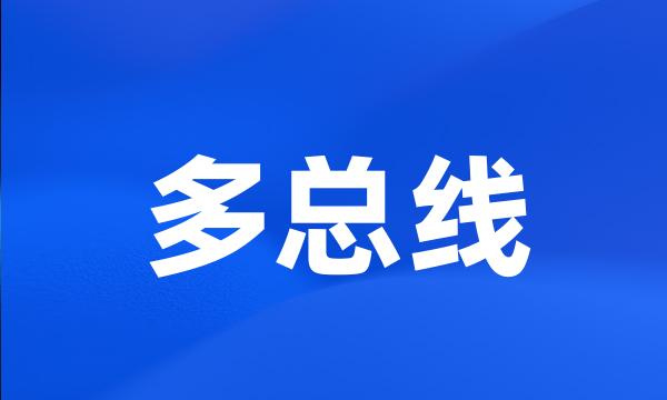 多总线