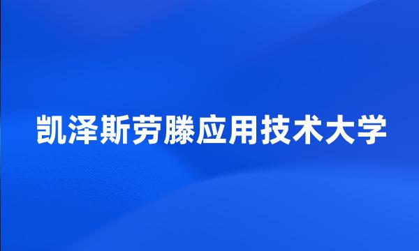 凯泽斯劳滕应用技术大学