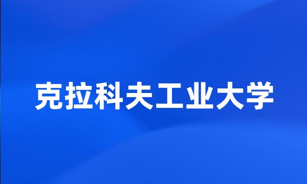 克拉科夫工业大学