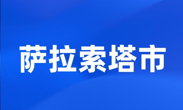 萨拉索塔市