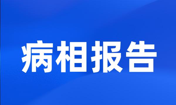 病相报告