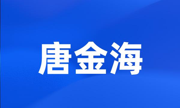 唐金海