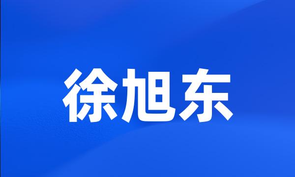 徐旭东