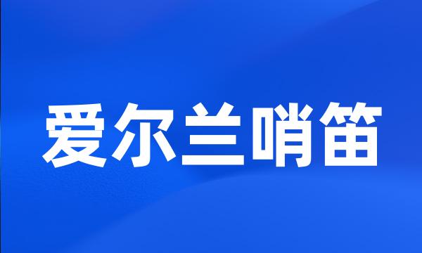 爱尔兰哨笛