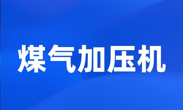 煤气加压机