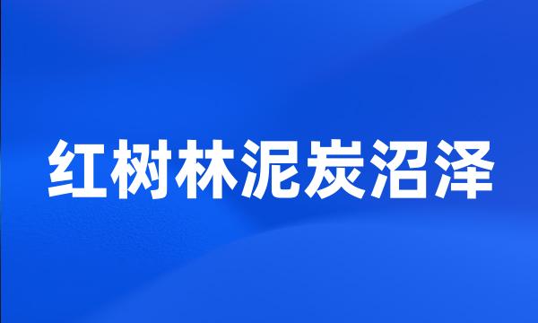 红树林泥炭沼泽