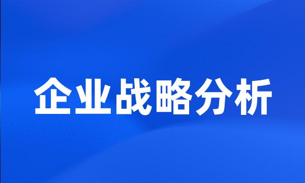 企业战略分析