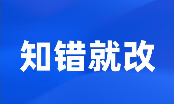 知错就改