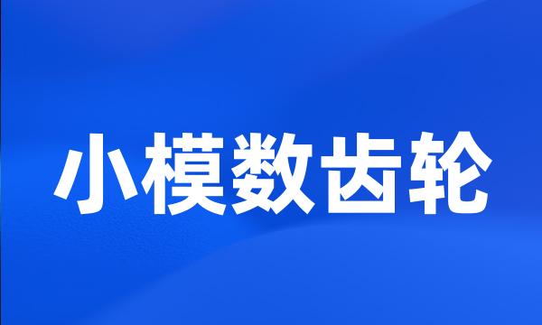 小模数齿轮