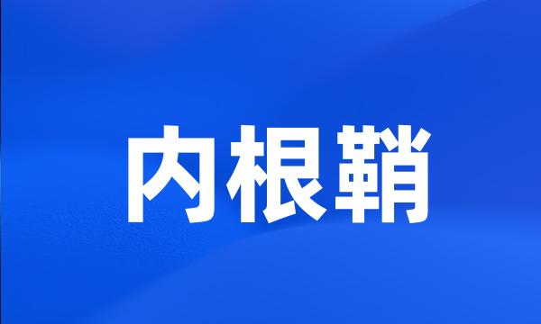 内根鞘