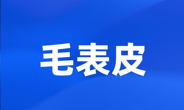 毛表皮