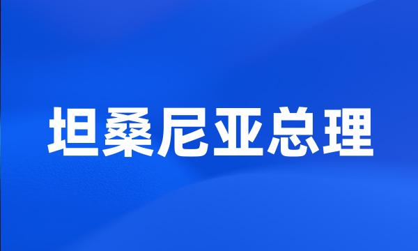 坦桑尼亚总理