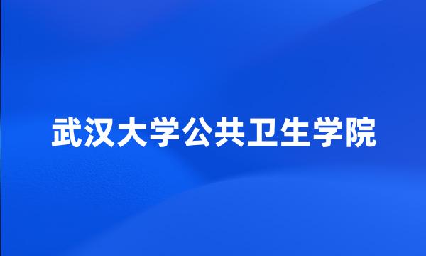 武汉大学公共卫生学院