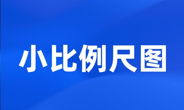 小比例尺图