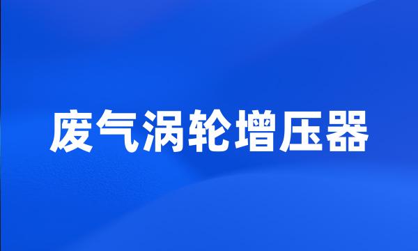 废气涡轮增压器