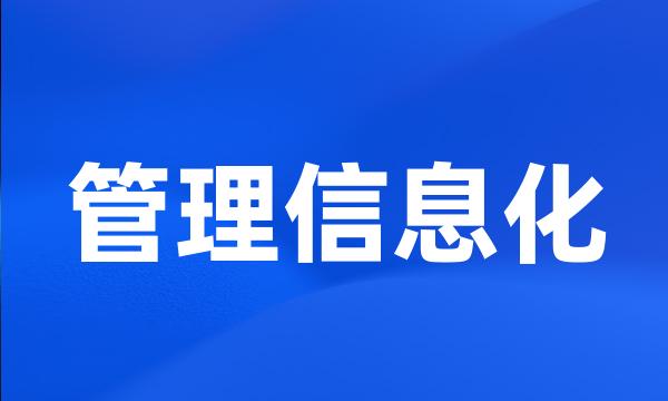 管理信息化