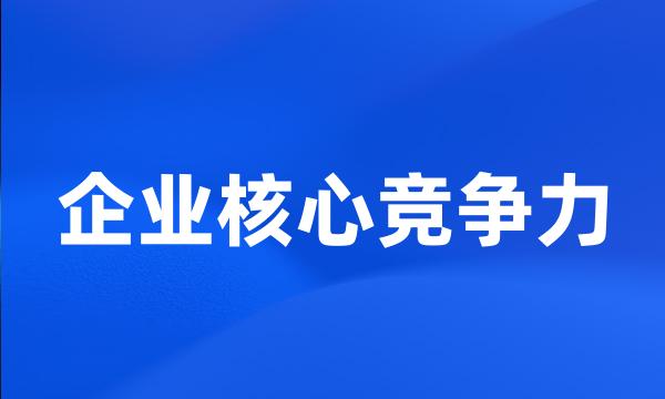 企业核心竞争力