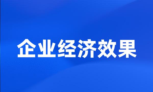 企业经济效果