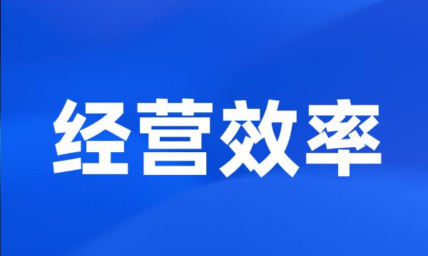 经营效率