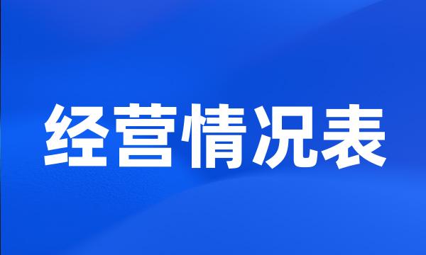 经营情况表