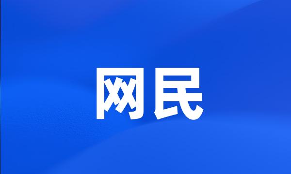 网民