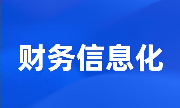 财务信息化