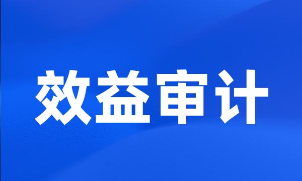 效益审计