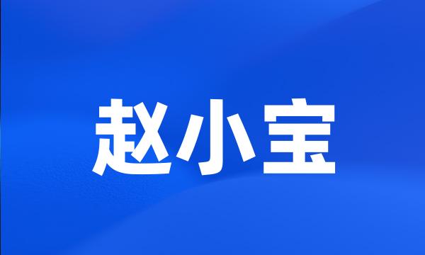 赵小宝