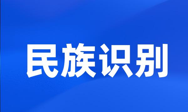 民族识别