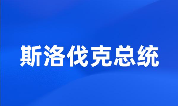 斯洛伐克总统