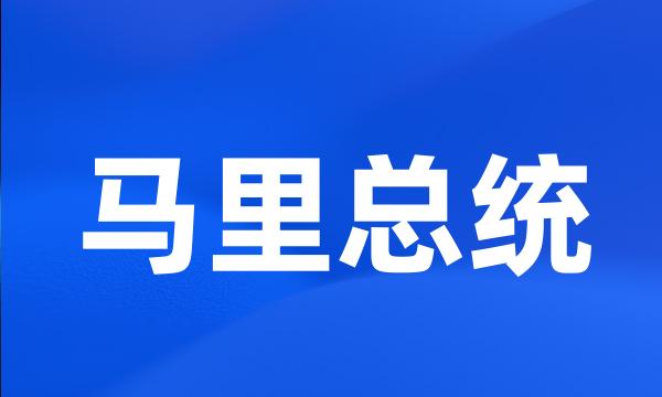 马里总统