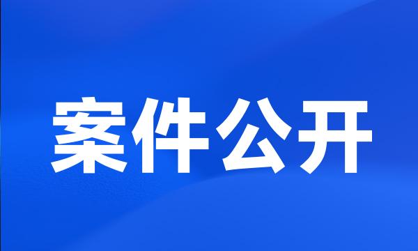 案件公开