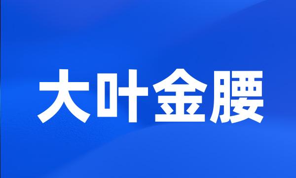 大叶金腰