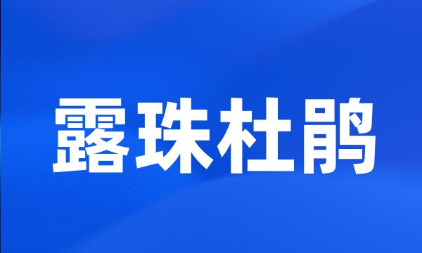 露珠杜鹃