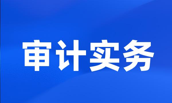 审计实务