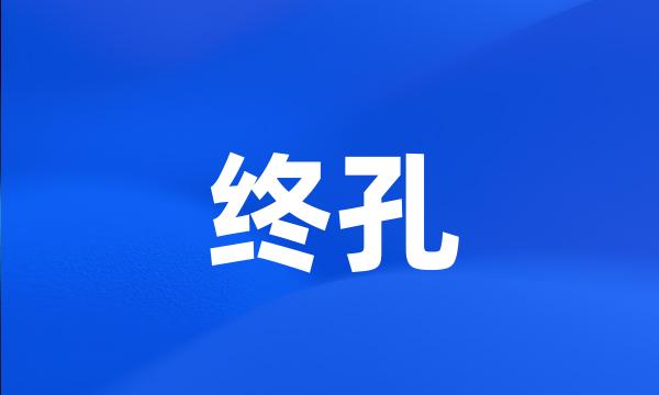 终孔