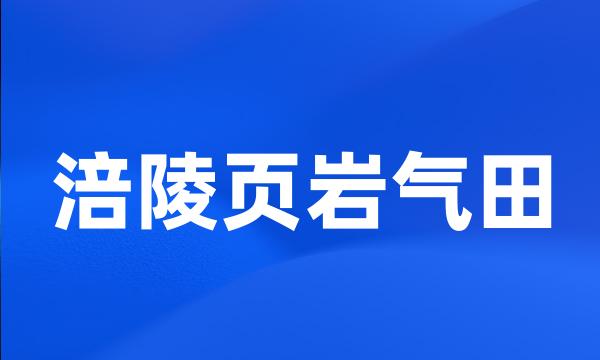 涪陵页岩气田