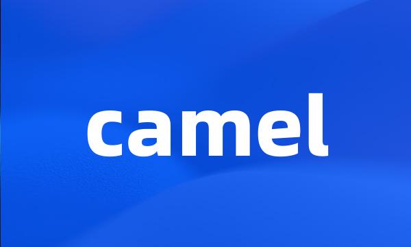 camel