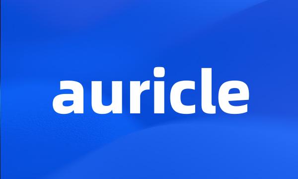 auricle