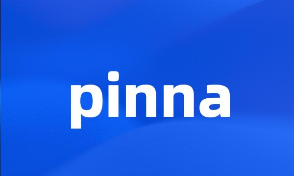 pinna