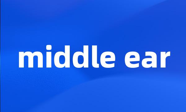 middle ear