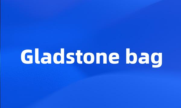 Gladstone bag