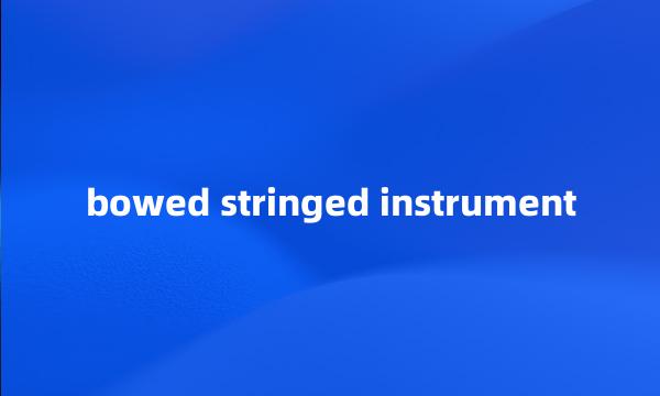 bowed stringed instrument