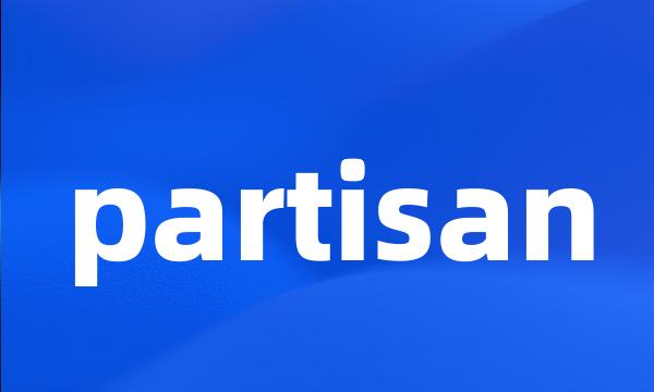 partisan