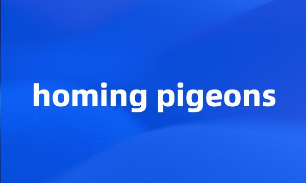 homing pigeons